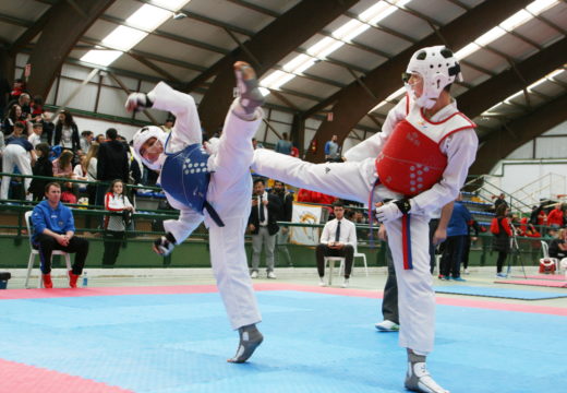 Ordes acolleu o Campionato Galego de Taekwondo